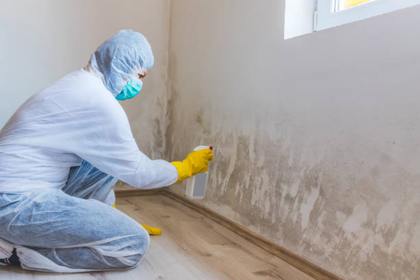 Mold Remediation specialist working in West Decatur