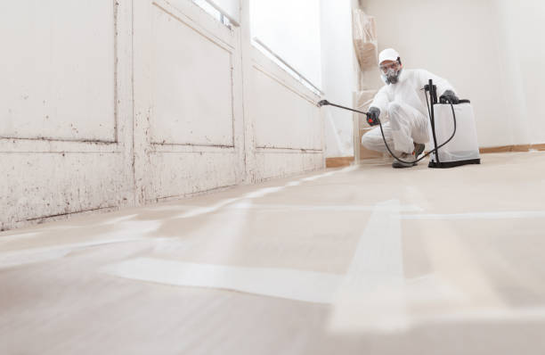 Black mold remediation team in West Decatur